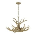thumbnail image 3 of Daniels 6-Light Chandelier in Natural Antler, 3 of 6