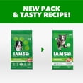thumbnail image 3 of IAMS Proactive Health Adult Mini Chunks Chicken & Whole Grain Recipe Dry Dog Food, 5 lb Bag, 3 of 11