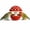 Red, variant on Cute Mushroom Ceramic Bird Water Dispenser & Seed Bowl, Premium Glazed Anti-Dust Feeding Dish for Small Parrots, Conures, Hamsters, Heavy Duty Cage Accessory