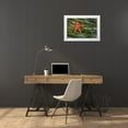 thumbnail image 3 of Jaynes Gallery 14x11 White Modern Wood Framed Museum Art Print Titled - Washington State-Salt Creek Recreation Area Blood star and wet eelgrass, 3 of 4