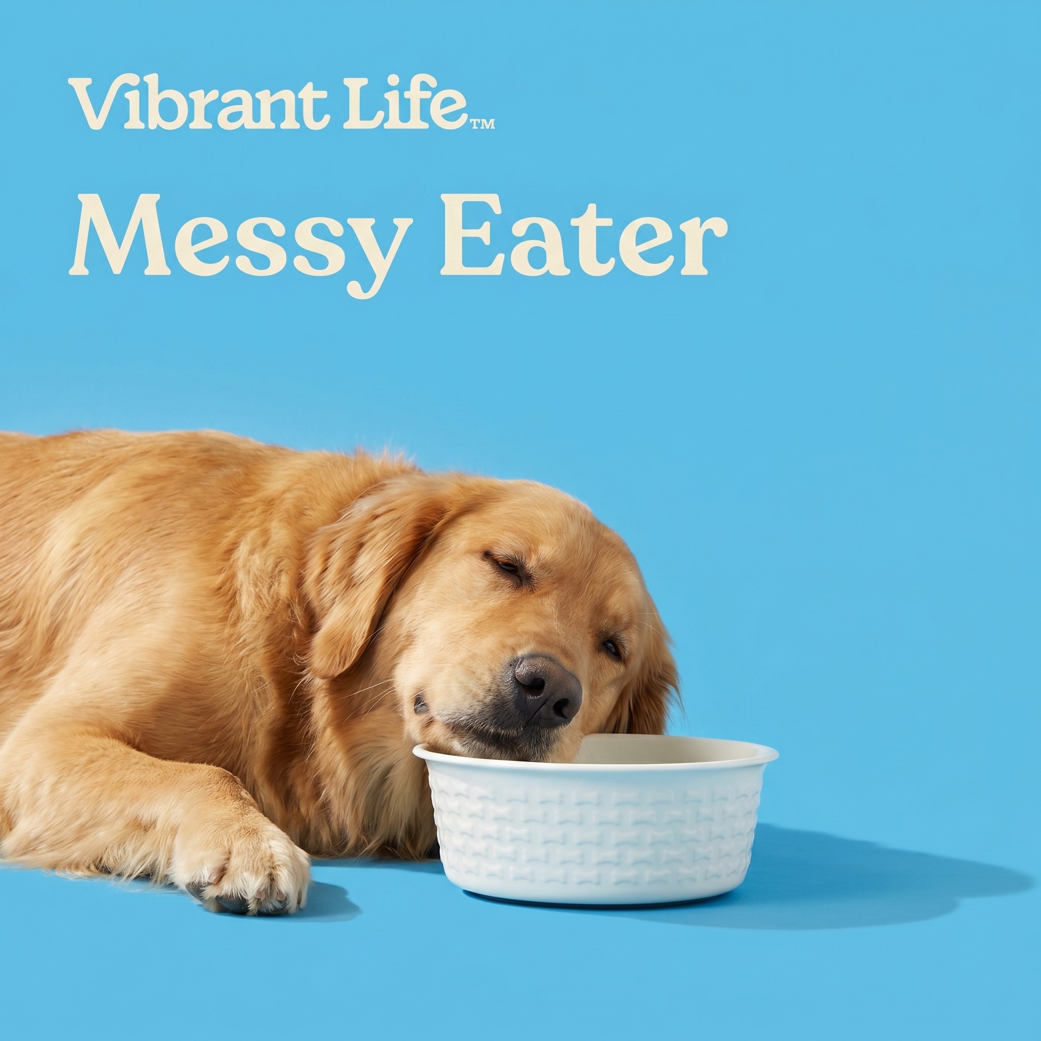 Vibrant Life Large Stainless Steel Pet Bowl, 7.5-Cup photo 4