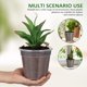 thumbnail image 3 of SWETRACE 6Ud Macetas De Plástico Transparentes Para Plantas Con Orificios De Drenaje Y Aireación, 3 of 7