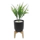 thumbnail image 3 of PLANTA DECORATIVA ARTIFICIAL ZENSE ELÓN NEGRO, 3 of 4