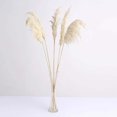thumbnail image 6 of Efavormart 6 Pack | 32" Dried Wheat Pampas Grass Plant Stems, Grass Spray Decor, 6 of 11