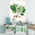 thumbnail image 2 of Designart ' Ancient Plant Life XII ' Farmhouse Canvas Wall Art Print, 2 of 4