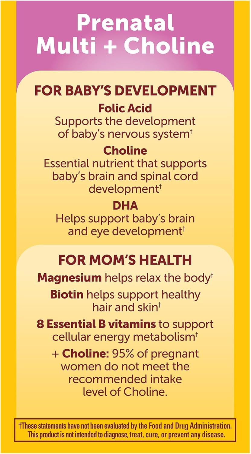 Nature Made Multi + Choline Prenatal 120 ea