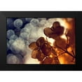 thumbnail image 2 of Lazarov, Dimitar 14x11 Black Modern Framed Museum Art Print Titled - Golden Night, 2 of 5