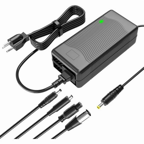 54.6V 2A Electric Charger for 48V Lithium Battery Compatible with Battery Charger,Equipped with 4 Output Heads ﻿