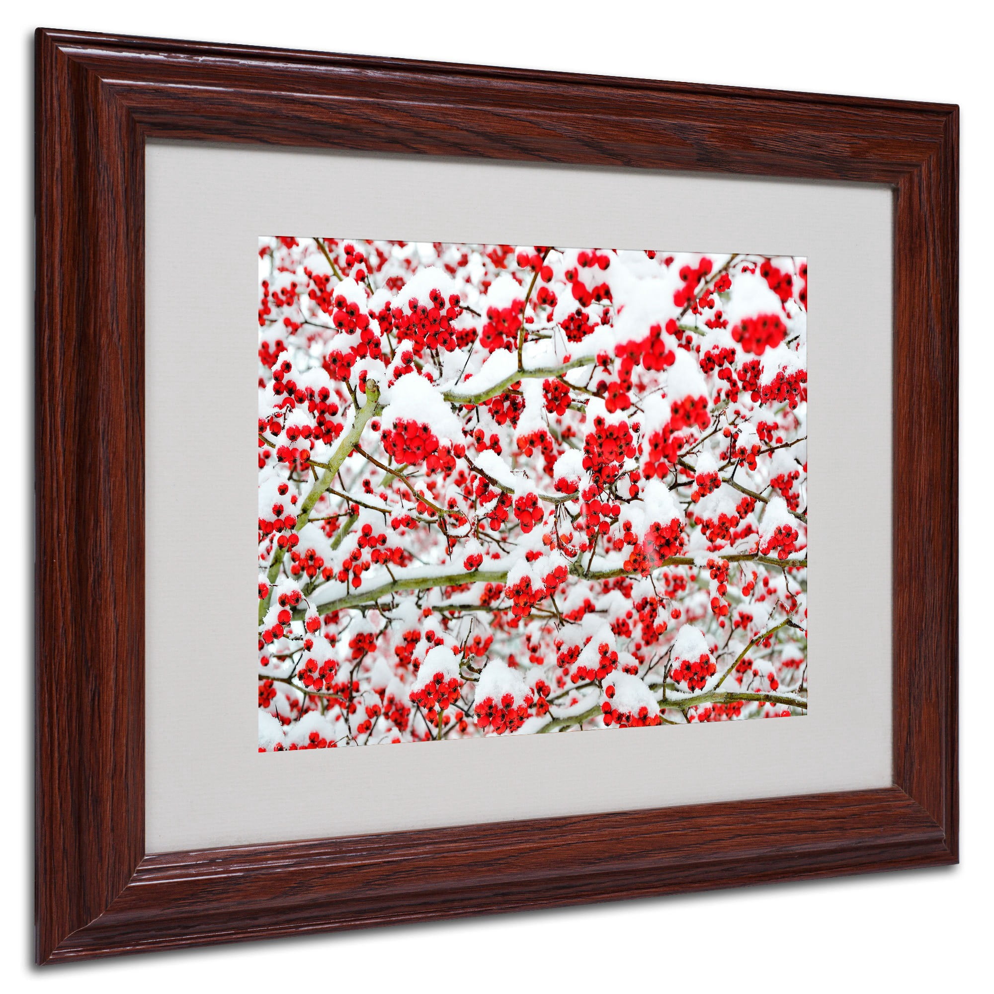 Trademark Fine Art "Winter Berries in the Snow" by Kurt Shaffer, Black Frame
