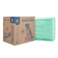 thumbnail image 1 of Almohadillas de adiestramiento para perros Arm & Hammer Green Tea, 200 unidades, antiolor, 1 of 7