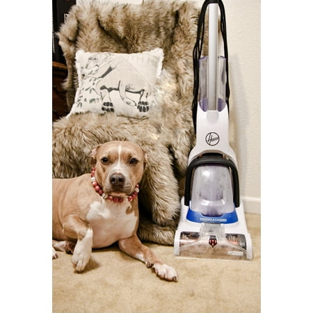Hoover - PowerDash Corded Upright Deep Cleaner - White/Blue