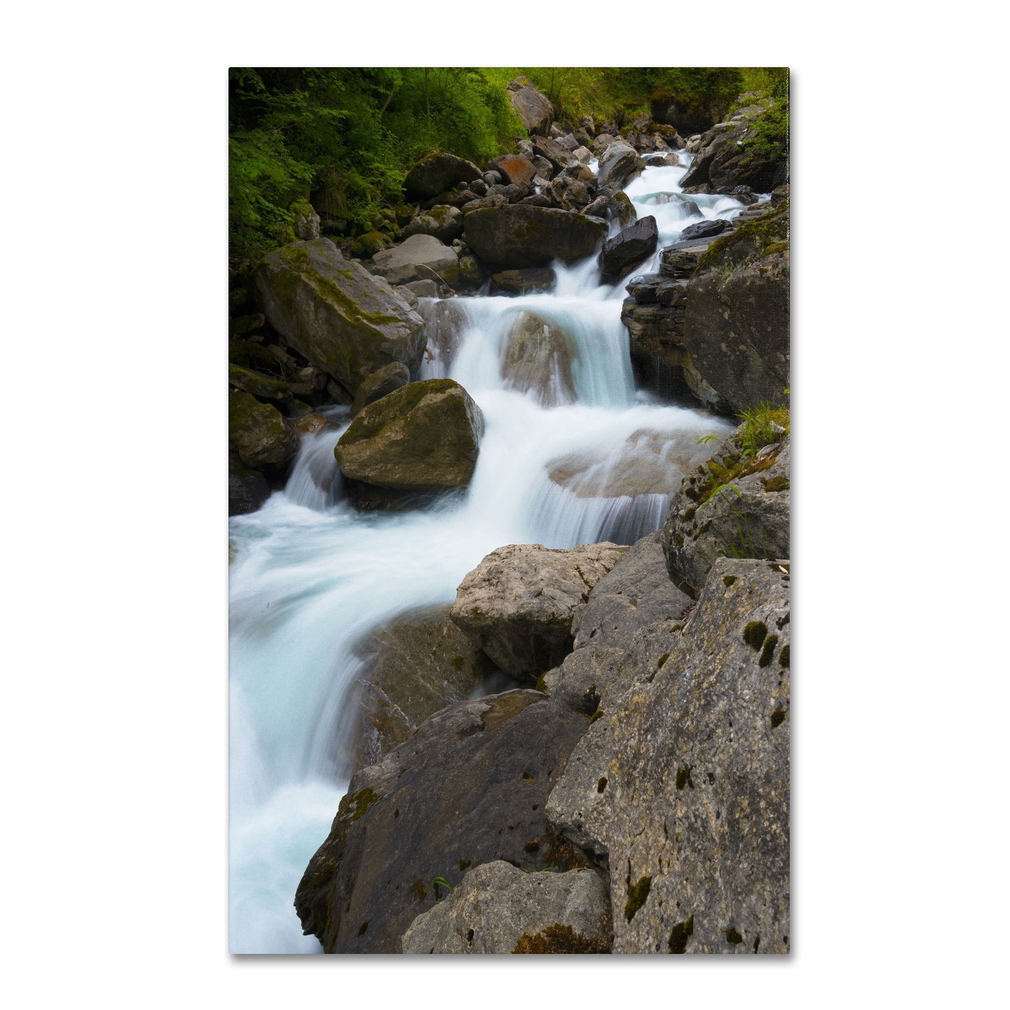 "Wet Rocks" Canvas Art by Philippe Sainte-Laudy