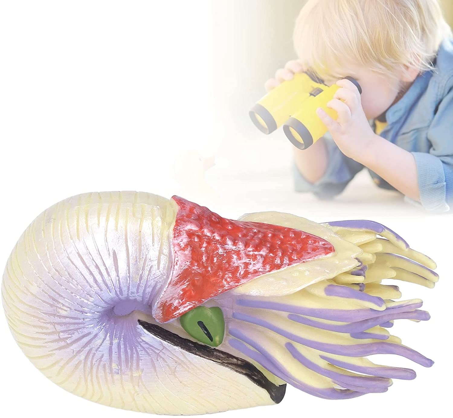 Life Like Shell Cast Lifelike Spiral Shell Model Toy Sea Animal Figures Model Cute Marine ...