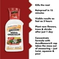 thumbnail image 3 of Spectracide Weed and Grass Killer Concentrate, Non-Selective Herbicide, 32 Ounces, 3 of 13
