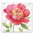 thumbnail image 1 of Epic Art 'Pink Garden II' by Lisa Audit, Acrylic Glass Wall Art, 36"x36", 1 of 7