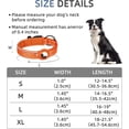 thumbnail image 2 of LAICAIW Collier pour Chien Réfléchissant avec AirTag, Collier pour Chien avec AirTag en Forme de Pomme Rembourré, Collier pour Chien Robuste avec Étui de Support pour AirTag, Accessoires Ajustables pour AirTag, Collier pour Animaux de Compagnie pour Petit Moyen Grand Chien, TG (19 Pieds'-22 Pieds), 2 of 6