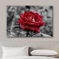thumbnail image 3 of HFDF Canvas Prt Wall Art Red Rose Close Up with Water Droplets Floral Botanical Photography Modern Art Rustic Scenic Relax/Calm Multicolor Dark for Livg Room, Bedroom, Office - 16x12inch Framed, 3 of 6