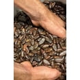 thumbnail image 2 of MAYAMEL Cacao Nibs Org&aacute;nicos Artesanales Pack 2 Bolsas 150 g Cacao Puro Mexicano de Tabasco 100% Vegano Sin Az&uacute;car, 2 of 6