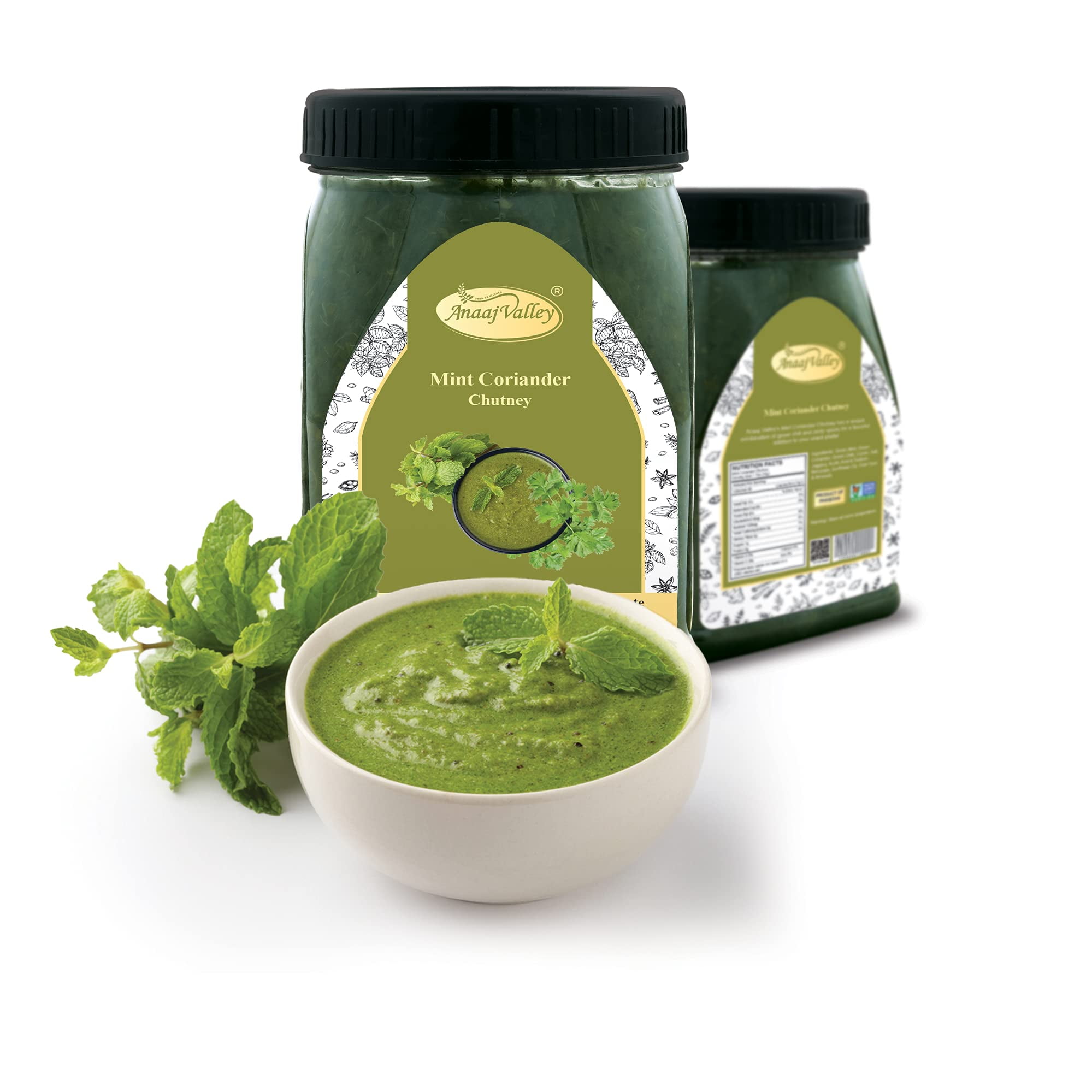 Anaaj Valley Spicy Coriander Mint Chutney - Coriander Sauce - Non-GMO, Vegan, Gluten Free, 650 Gr
