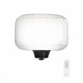 thumbnail image 2 of SeeDevil SD-BLF-60-G1 Ballon Lumière - LED, 2 of 4