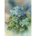 thumbnail image 2 of Besedina, Anastasiia 19x24 White Modern Wood Framed Museum Art Print Titled - Blue Hydrangea, 2 of 4