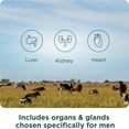 thumbnail image 6 of Ancient Nutrition Organ Supplements for Men, Grass-Fed and Wild Organ Complex Capsules, Liver, Prostate, Pancreas Supports Male Performance, Healthy Aging, 180 Ct, 6 of 8