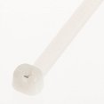 thumbnail image 5 of Panduit Attaches de Câble BT2S-C (Lot de 100), 5 of 5