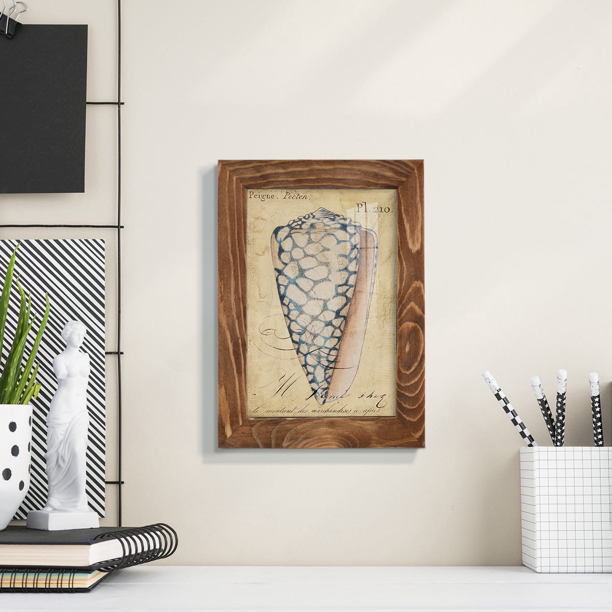 Seashell Ephemera IV - Framed Print w/glass - Walnut