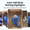thumbnail image 5 of Birdfy Smart Bird Houses for Outside Solar Powered, 1080P HD Live View Bird House with Camera, Perfect Viewing Bird Nesting and Hatching, Bird Feeder with Camera for Most Birds, 5 of 10