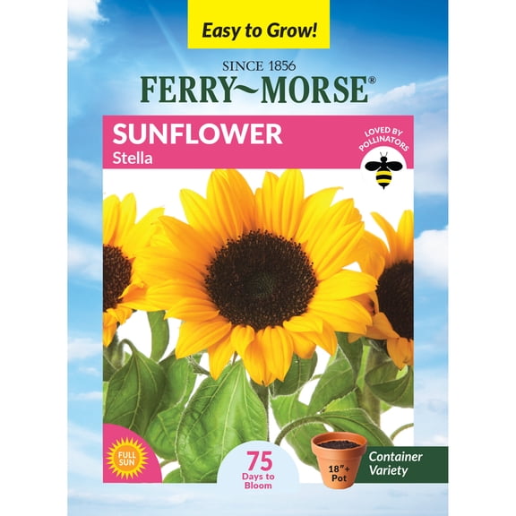 Ferry-Morse 800MG Sunflower Stella Annual Flower Seeds, Full Sun
