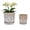 Beige, variant on MDJ Pottery Set of 2 Ceramic Orchid Pots, 7.48 + 5.51 inch Plant Pots with Drainage Holes and Saucer for Repotting, Hollow-Out Planter for Plant Indoor and Outdoor (Green White)