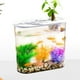 thumbnail image 1 of Escritorio acuario de pescado contenedor de contenedores de almacenamiento de múltiples usos múltiples aguascapes Terrario de contenedor para tierras Tapa blanca, 1 of 8