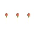 thumbnail image 2 of Baohd 1/2/3/5 10pack/lot Realistic Appearance Artificial Flower For Party Decor And Home Decor Light Coffee 3PCS, 2 of 6