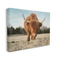 thumbnail image 3 of Stupell Farmhouse Highland Cattle Ranch Animals & Insects Photography Gallery Wrapped Canvas Print Wall Art, 3 of 5