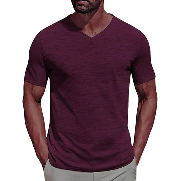 Lmnyox V Neck Casual T Shirt for Men Solid Color Classic Fashion Short Sleeve Tees Tops Summer Basic Pullover Shirt