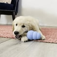 thumbnail image 5 of KONG® Ziggies Enhanced Puppy Dog Treats, Supports Oral Health, Medium/Large, Chicken, 8 oz, 5 of 9
