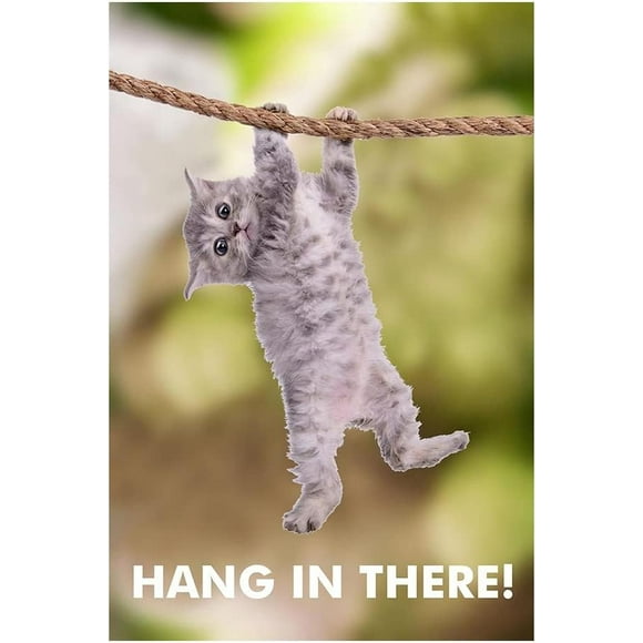 PPHAOSHO Behrens kitten Hang There Cat Motivational Poster frameless Painting Canvas Wall Posters Art Picture Print Modern Home Decor 12x18inch