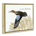 thumbnail image 4 of Stupell Industries Cinnamon Teal Duck Flying Animals & Insects Painting Gold Floater Framed Canvas Art Print Wall Art, 21 x 17, 4 of 10