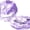 Purple, variant on Aquatic Fitness Discs – EVA Foam, Aerobic Workout Flotation, Swimming Resistant Aid | Perfectly Great for Youth Men, Strength Building