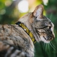 thumbnail image 2 of Harry Potter Breakaway Cat Collar With Bell, Plastic Clip, Easy Adjustable, Hufflepuff Crest Stripe Yellow Black, 8.5 to 12 Inches 0.5 Inch Wide, 2 of 4