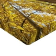 thumbnail image 2 of Ambesonne Scenery Fitted Sheet, Aspen Trees in Forest, Queen Size, Yellow, 2 of 3