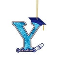 thumbnail image 1 of "Turn Your Graduation Celebration Into A Spectacular Affair With Eye Catching Party Decorations And Hanging Pendants", 1 of 4