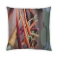 thumbnail image 2 of Ahgly Company Foods Carrot Indoor Throw Pillow, 18 inch by 18 inch, 2 of 6