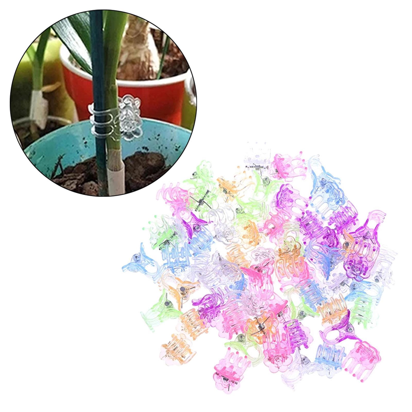 60 Pcs Rose-Shaped Orchid Clips – Mix Colors, Plastic Plant Support Clips For Stems And Vines