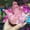 Pink, variant on Natural Quartz Titanium Aura Crystal Cluster VUG Healing Specimens Stone Mineral-Yellow-About 50g