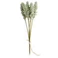 thumbnail image 1 of Manojo de decoración del hogar Bearachild plantas artificiales Flores de cereales secas 30cm, 1 of 6