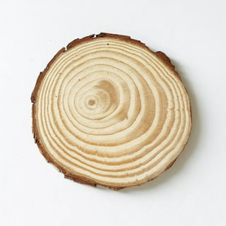 1 Set of Natural Wood Slices Unfinished Round Wood Slices for