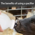 thumbnail image 6 of AOOOWER Calf Nursing Bottle 1-5L Large Capacity with Nipple and Handle Livestock Tool Easy Feeding Tool, 6 of 18