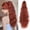 Copper Red, variant on 24'' Clip Ponytail Extension for Women with Claw Clip Layered Synthetic Hair Heat Resistant Clips In Curly Hair Ponytail Extensions Wedding Party Daily Use (Copper Red, 4.5OZ)