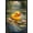 Black Framed Version, variant on Rubber Duck - River Lilies Wall Poster, 22.375" x 34"